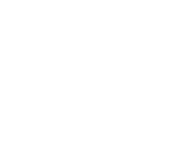 Sany Fork Farms located in Central Texas - Wagyu and Greass-fed Beef